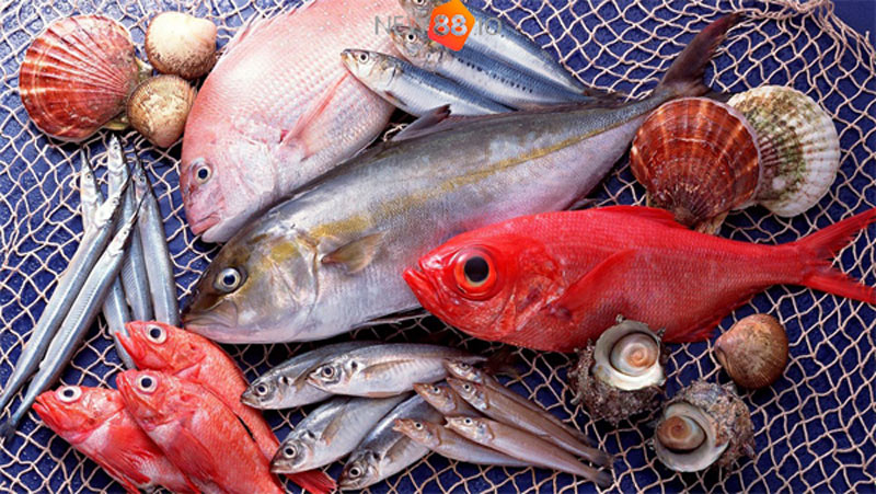Mơ Thấy Ăn Cá Đánh Con Gì Dễ Trúng? Điềm Lành Hay Dữ? 6 Mơ thấy ăn cá ẩn chứa những điềm báo gì?