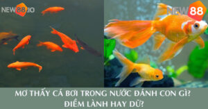 Mơ Thấy Cá Bơi Trong Nước Đánh Con Gì? - New88.io