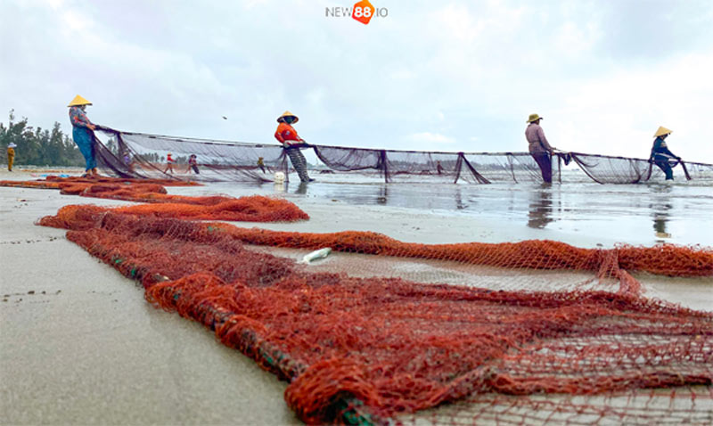 Nằm Mơ Thấy Kéo Lưới Bắt Cá Là Điềm Gì? Nên Đánh Con Nào? 6 Luận giải giấc mơ kéo lưới bắt cá
