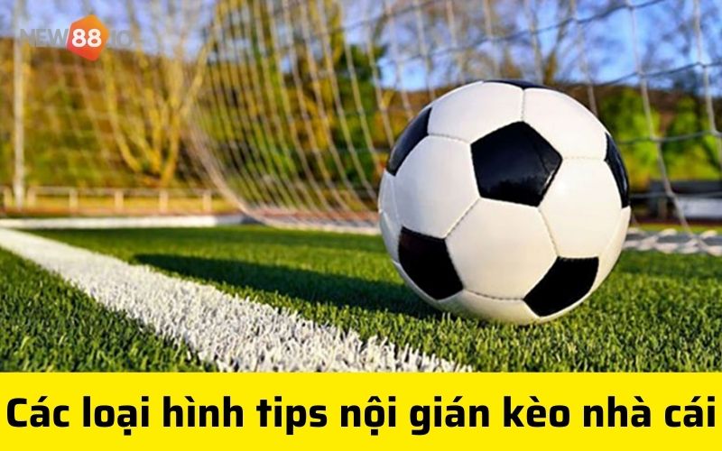 Tin nội gián bóng đá kèo nhà cái là gì? Có nên mua tip bóng đá nội gián không? 6 các loại hình tips nội gián kèo nhà cái