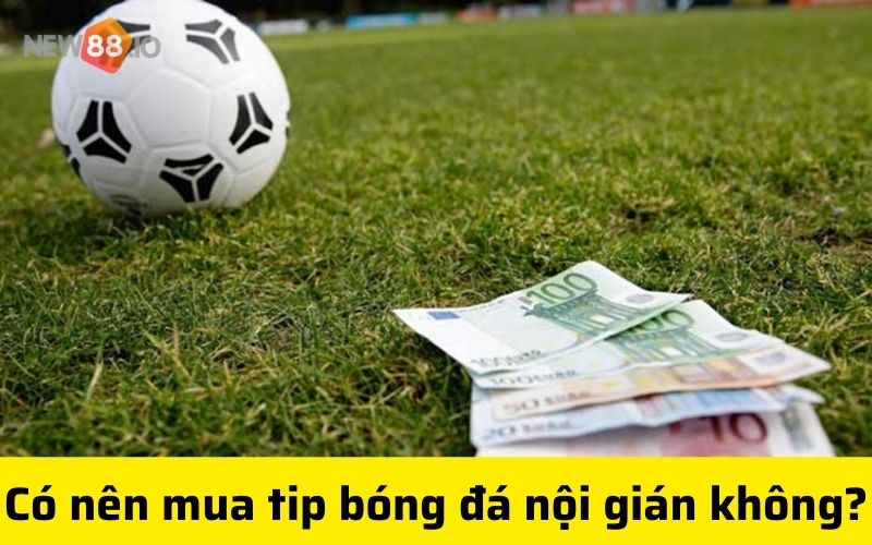 Tin nội gián bóng đá kèo nhà cái là gì? Có nên mua tip bóng đá nội gián không? 7 có nên mua tip bóng đá nội gián không