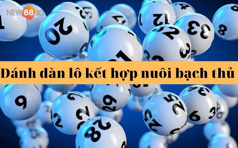 Bật Mí Chiến Thuật Chơi Lô Đề Bất Bại Bởi Các Cao Thủ Đánh Lô Đề Mới Nhất 2022 7 Đánh dàn lô kết hợp nuôi bạch thủ để hạn chế được rủi ro