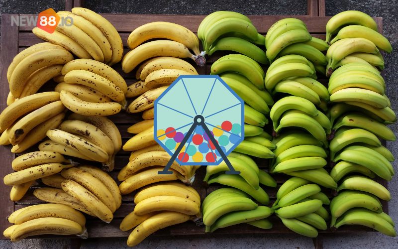 Nằm mơ thấy chuối đánh số gì? Giải mã giấc mơ thấy chuối. 5 Mơ thấy chuối đánh số gì?