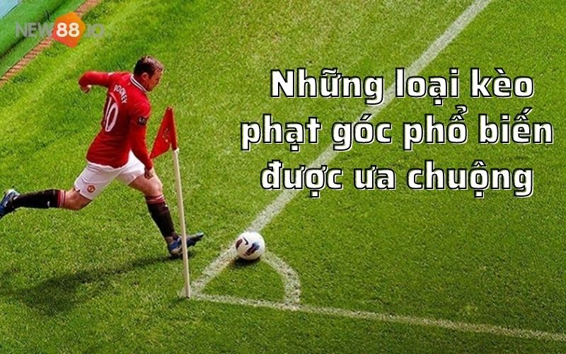 Kèo phạt góc là gì? Bí quyết đánh kèo phạt góc chuẩn nhất từ các chuyên gia soi kèo 6 Những loại kèo phạt góc phổ biến được ưa chuộng