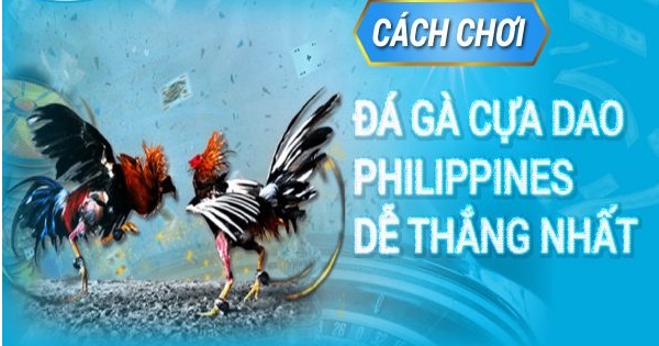Bỏ túi 3 mẹo đá gà cựa dao bất bại - Từ tay mơ thành cao thủ là dễ 7 Mẹo đá gà cựa dao