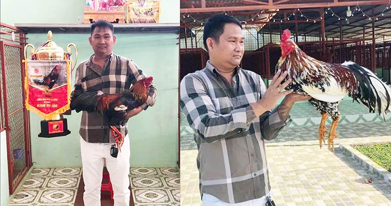 Mít Trà Cú - Tay chơi đá gà khét tiếng miền Nam 5 Mít trà cú