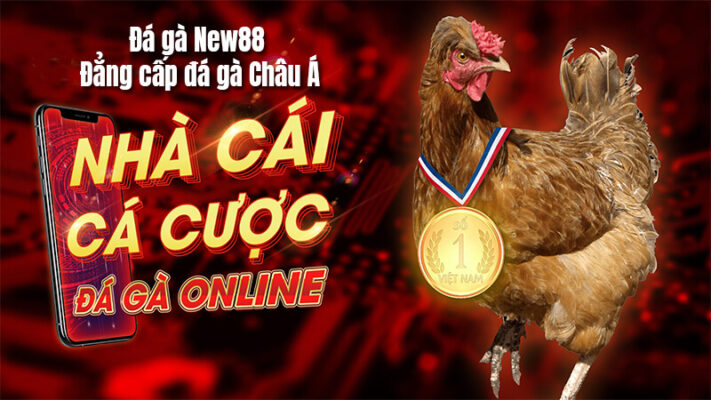 New88 - Trang đá gà mạng uy tín, đáng tham gia nhất 2022 6 Trang đá gà mạng uy tín