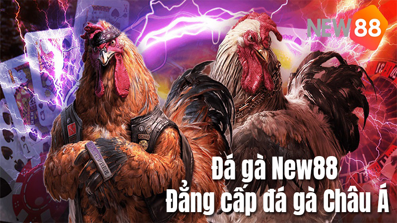 New88 - Trang đá gà mạng uy tín, đáng tham gia nhất 2022 5 Trang đá gà mạng uy tín