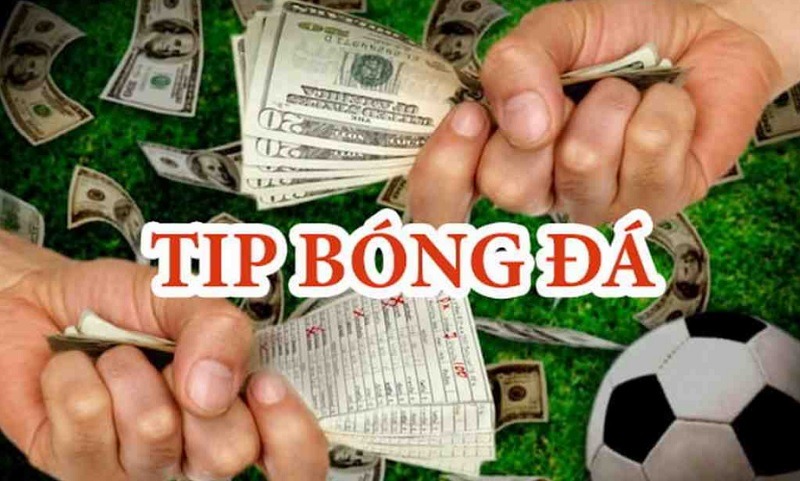 Tips bóng đá là gì và dấu hiệu nhận biết trang bán tips lừa đảo 8 Có thực sự cần phải sử dụng tips khi cá cược