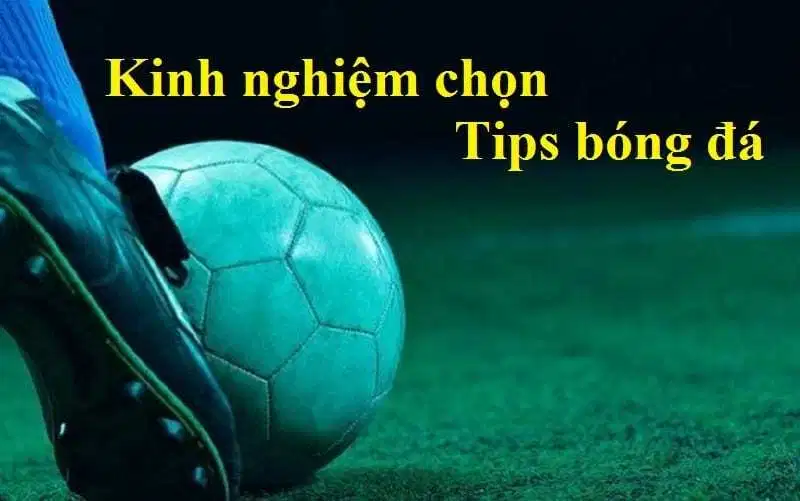 Tips bóng đá là gì và dấu hiệu nhận biết trang bán tips lừa đảo 9 kinh nghiệm khi mua tips hay xin tips bóng đá