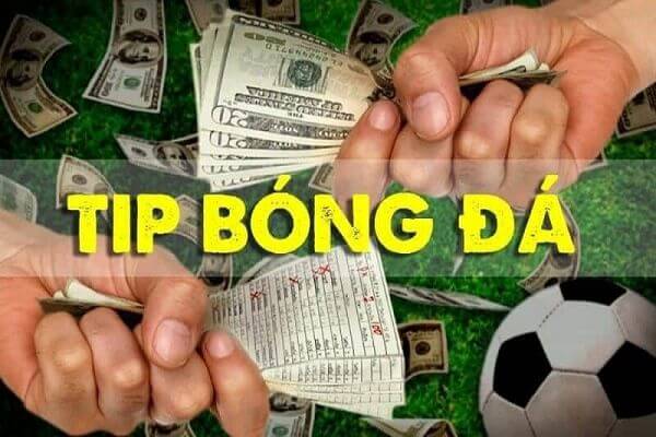 Tips bóng đá là gì và dấu hiệu nhận biết trang bán tips lừa đảo 7 Nguồn gốc Tips bóng đá