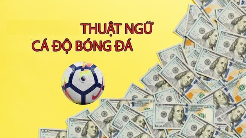 Các thuật ngữ cá độ bóng đá mà anh em cược thủ cần nắm rõ 5 Thuật ngữ cá độ bóng đá