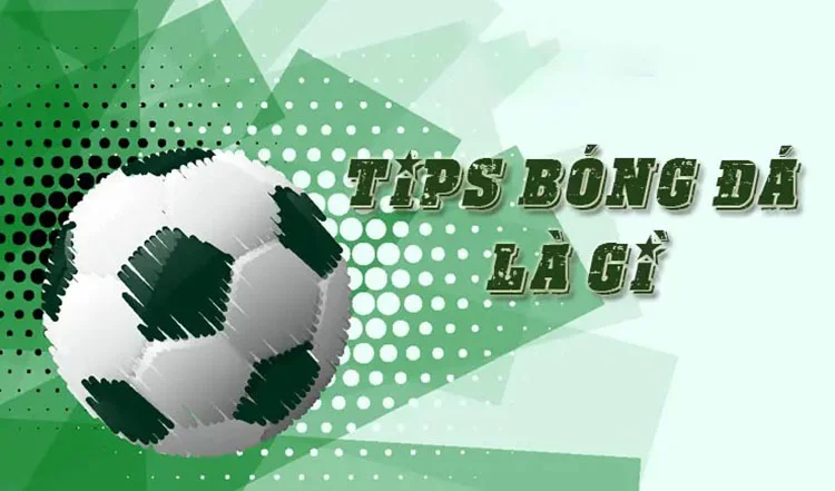 Tips bóng đá là gì và dấu hiệu nhận biết trang bán tips lừa đảo 6 Tips bóng đá chất lượng là gì