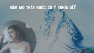 Giải mã nằm mơ thấy nước đánh con gì tại new88